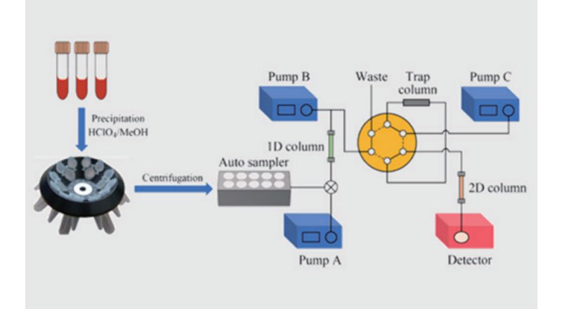 E3200L2D-LC 二维高效液相色谱仪(图2)