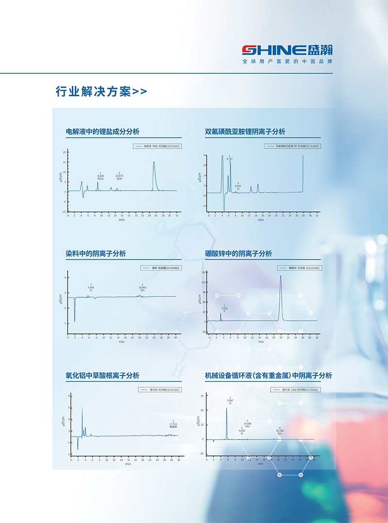 CIC-D160Z离子色谱仪(图3)