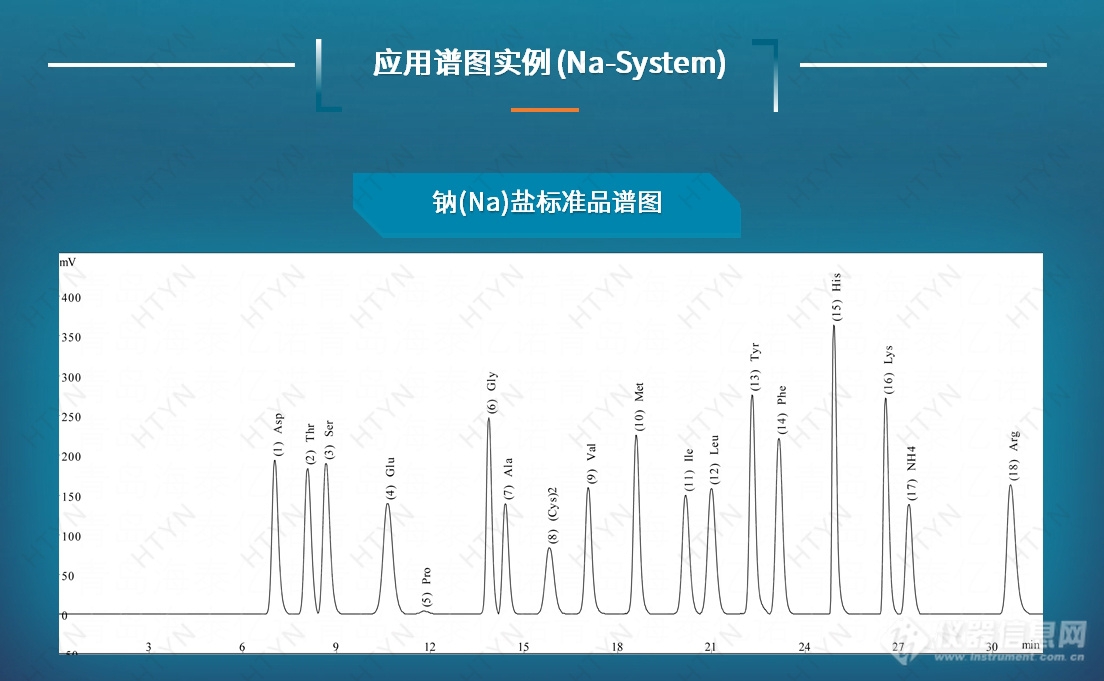 HT-1100 全自动氨基酸分析仪(图1)