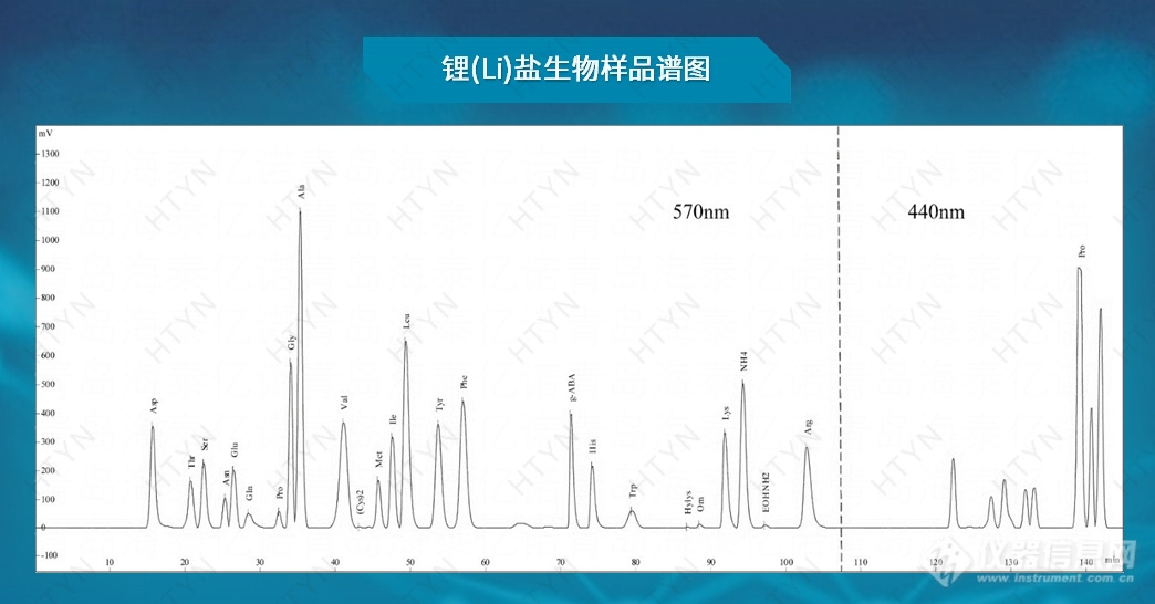 HT-1100 全自动氨基酸分析仪(图3)